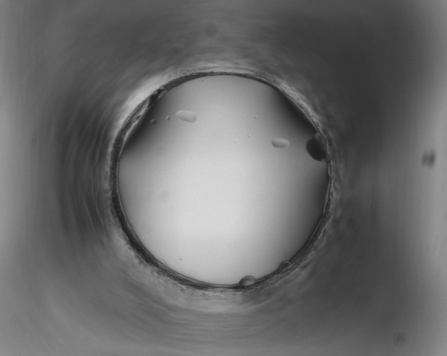 X0000116270008200912211808