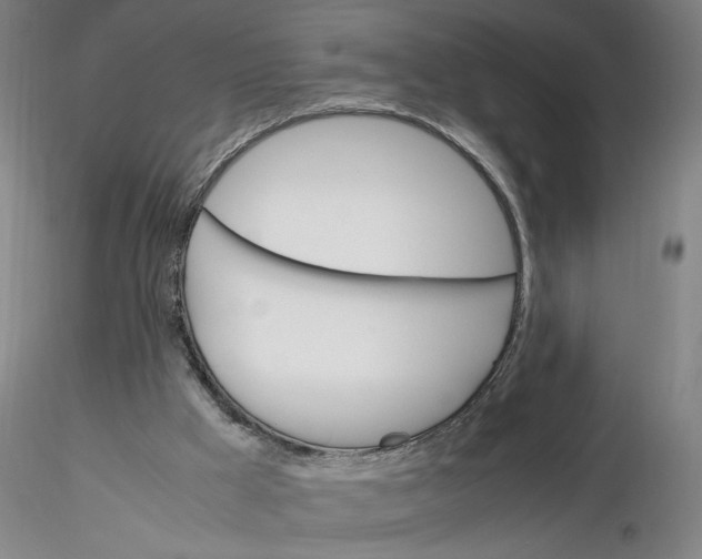 X0000116270009200912211808