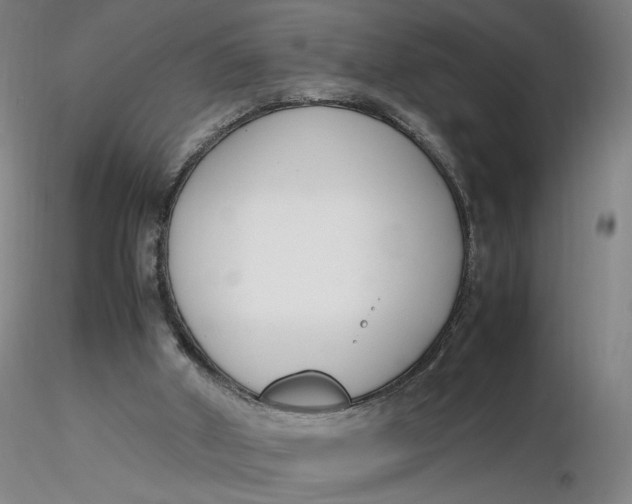 X0000116270010200912211808