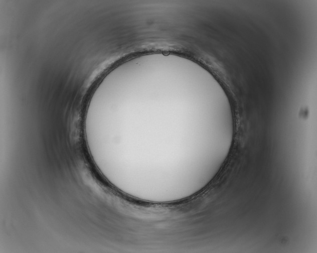 X0000116270012200912211808