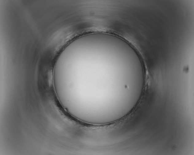 X0000116270013200912211808