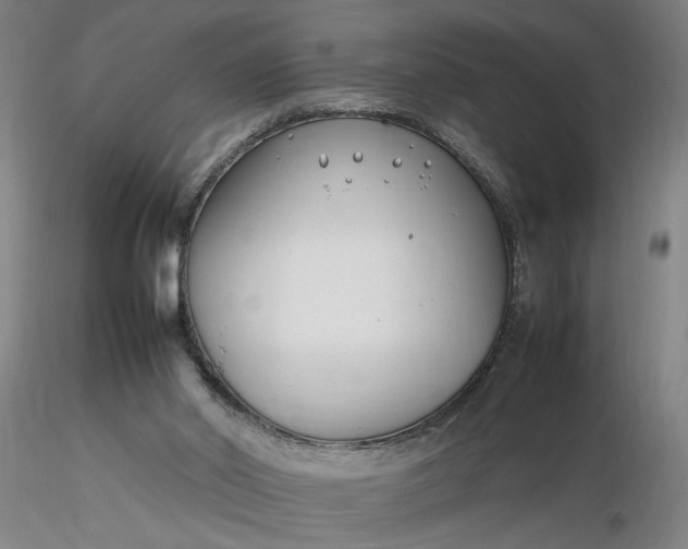 X0000116270014200912211808