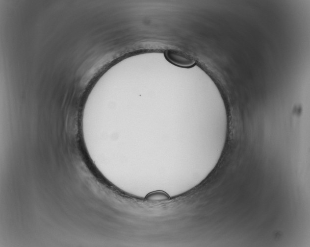 X0000116270015200912211808