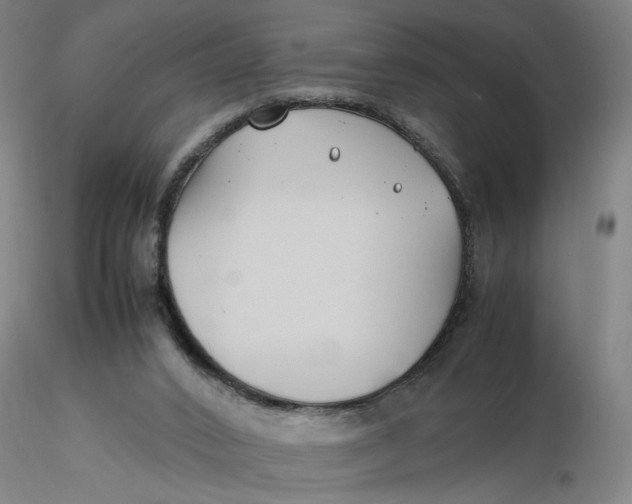 X0000116270016200912211807