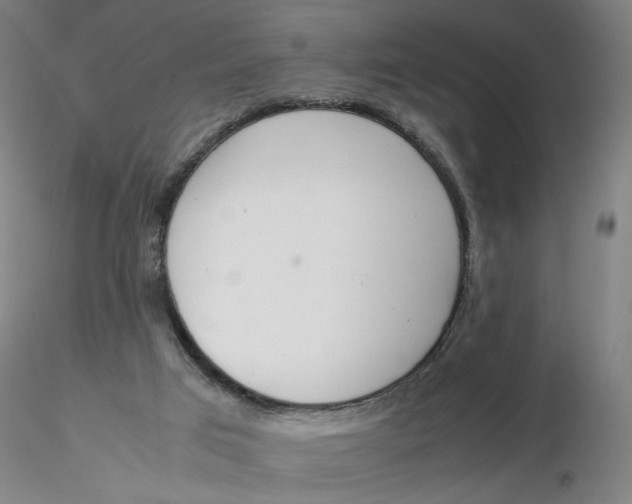 X0000116270017200912211807