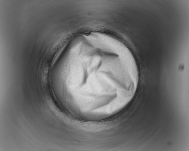 X0000116270018200912211807