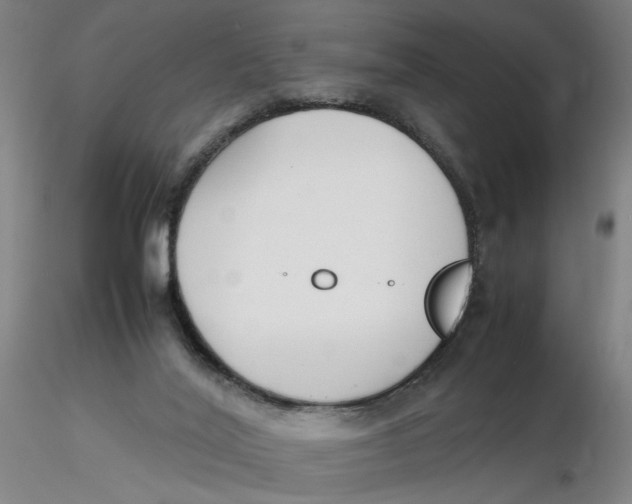 X0000116270020200912211807