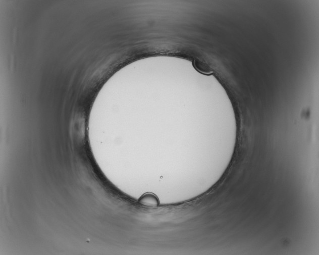 X0000116270021200912211807