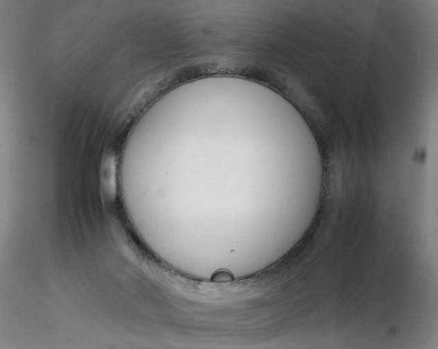 X0000116270022200912211807