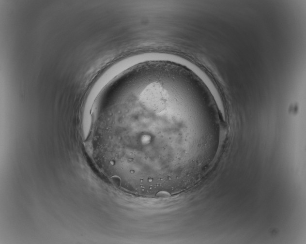 X0000116270023200912211807