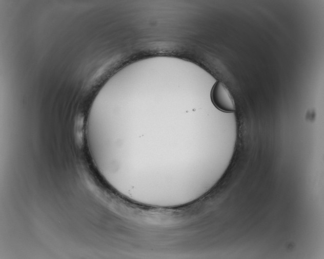 X0000116270024200912211807