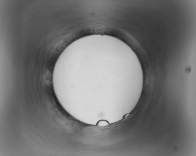 X0000116270025200912211807