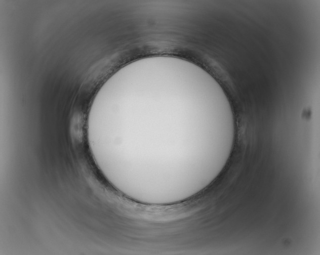 X0000116270026200912211807