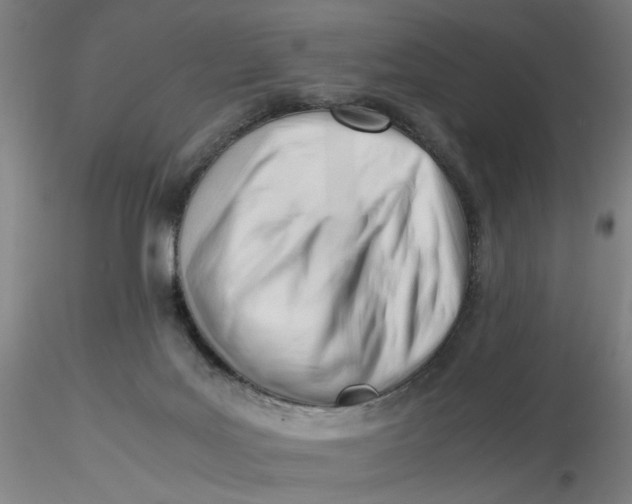 X0000116270027200912211807