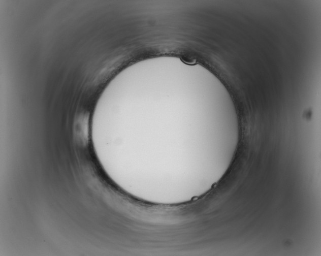 X0000116270028200912211807