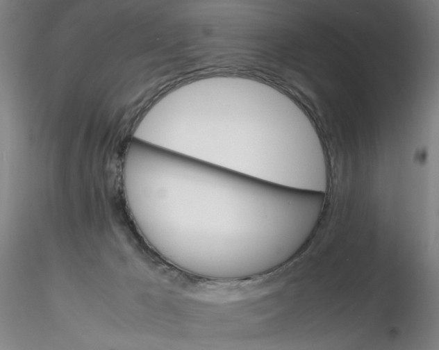 X0000116270029200912211807