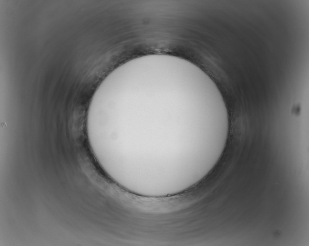 X0000116270030200912211807