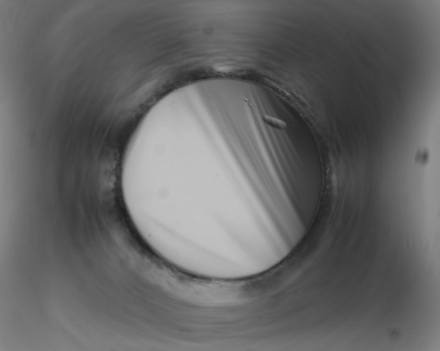 X0000116270032200912211807