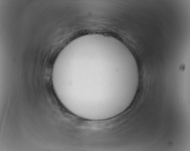 X0000116270033200912211807