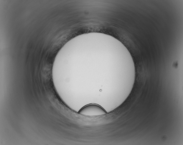 X0000116270034200912211807