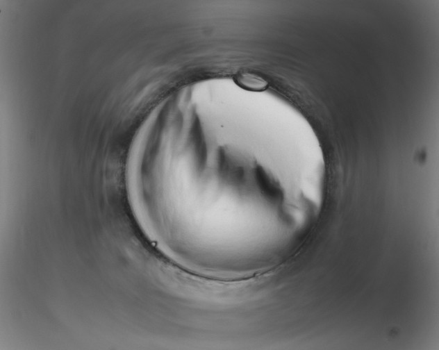 X0000116270035200912211807