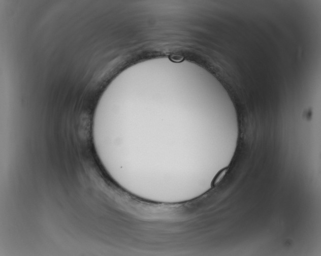 X0000116270036200912211807