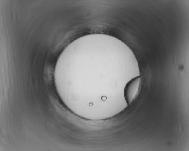 X0000116270038200912211807