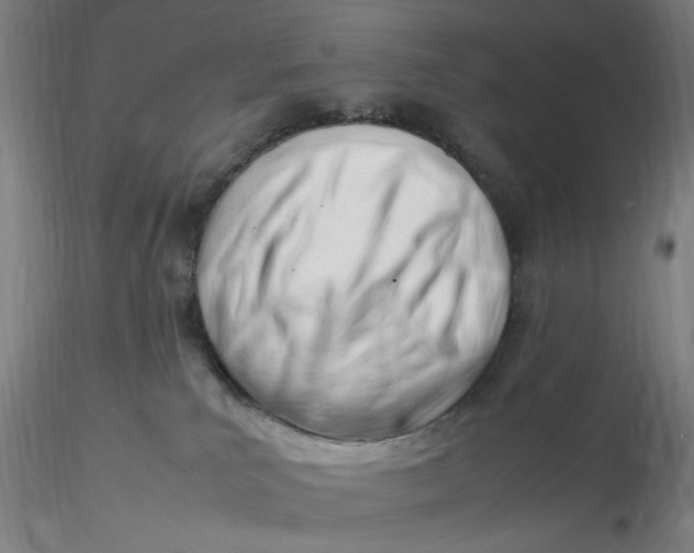 X0000116270039200912211807