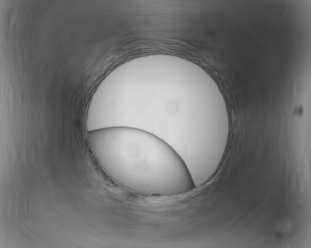 X0000116270041200912211807
