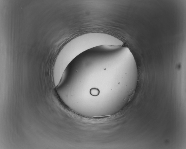 X0000116270043200912211807