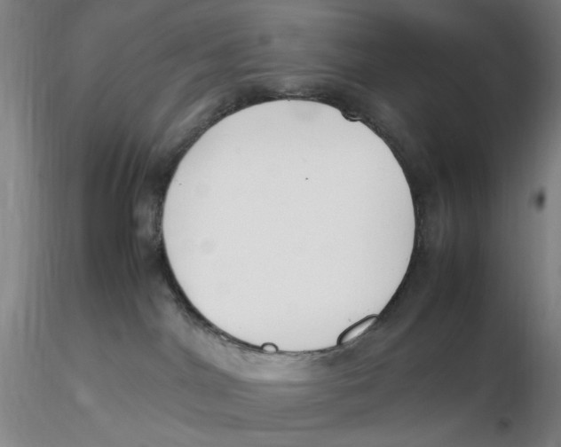 X0000116270044200912211807