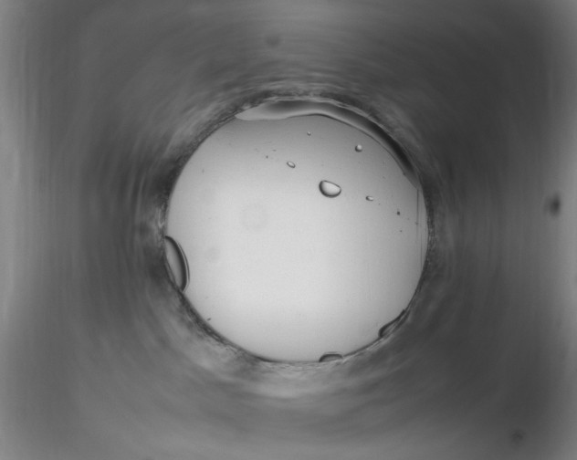 X0000116270045200912211807