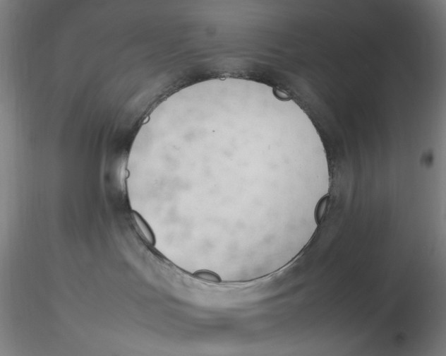 X0000116270047200912211807