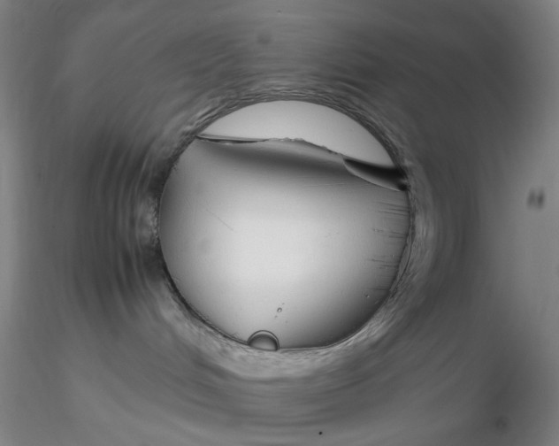 X0000116270048200912211807