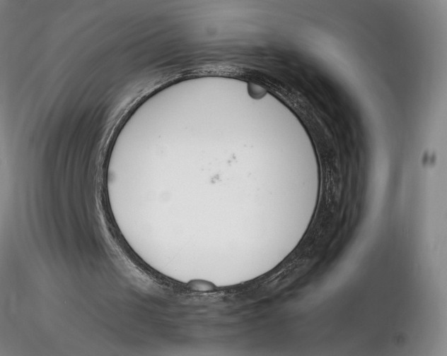 X0000116270049200912211806