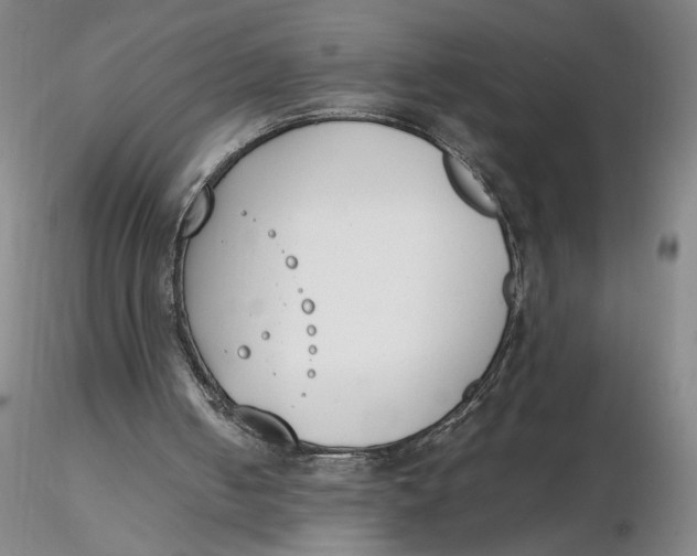 X0000116270050200912211806