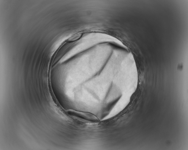 X0000116270052200912211806