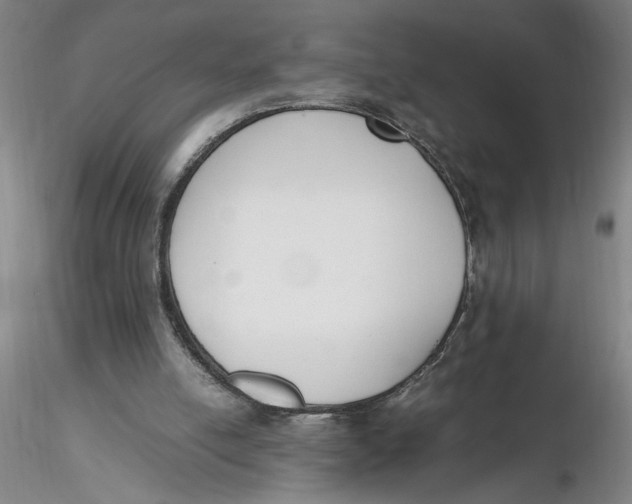 X0000116270054200912211806
