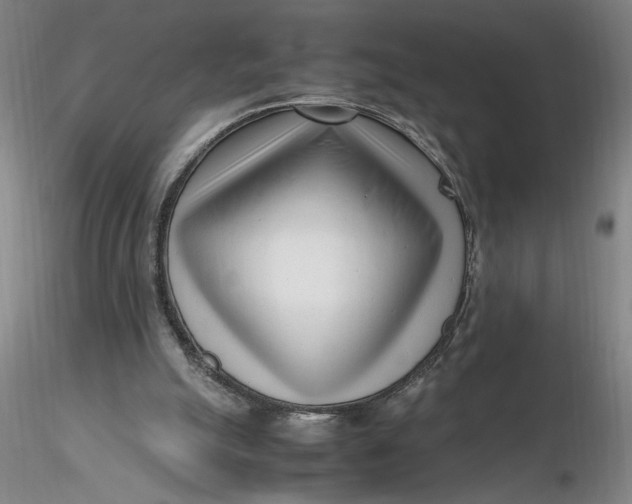 X0000116270055200912211806