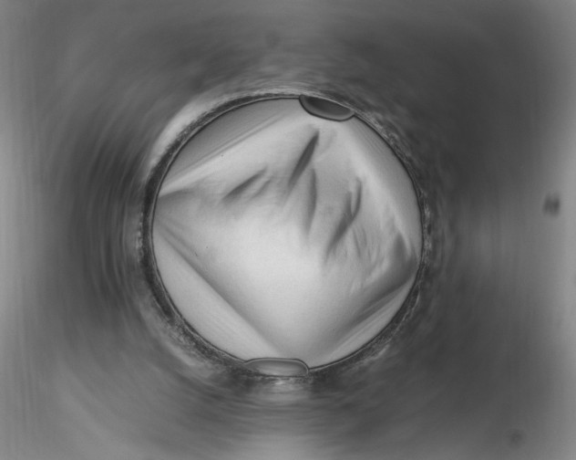 X0000116270056200912211807