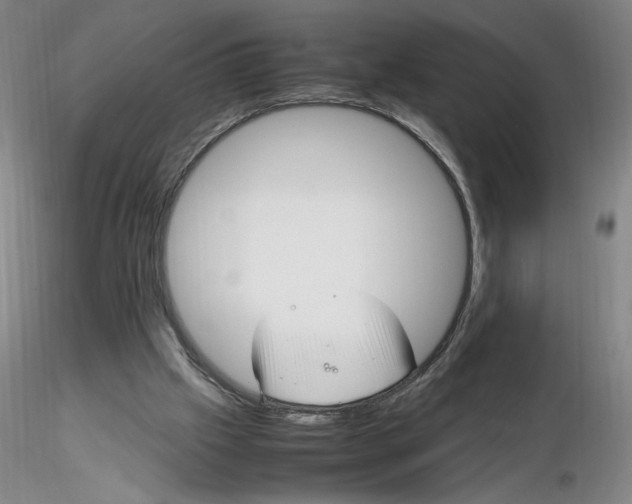 X0000116270057200912211807