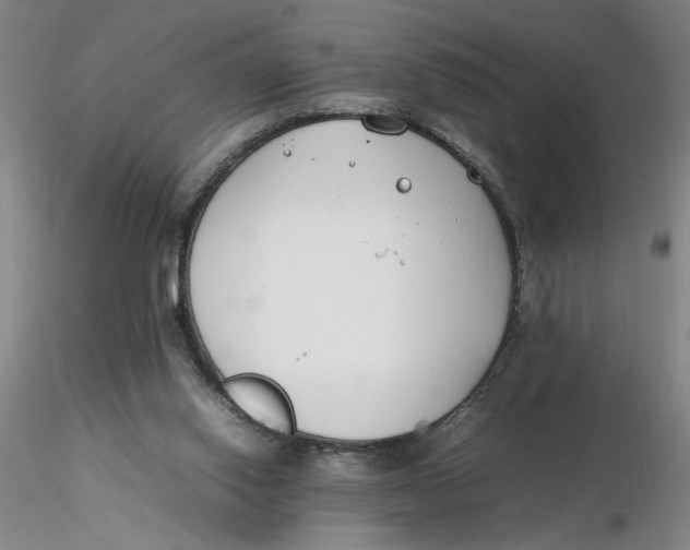 X0000116270062200912211807