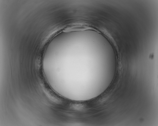 X0000116270063200912211807