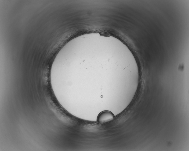 X0000116270065200912211807
