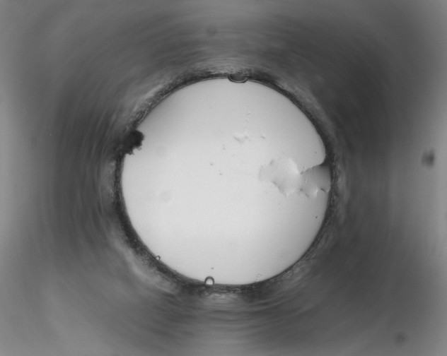 X0000116270066200912211807