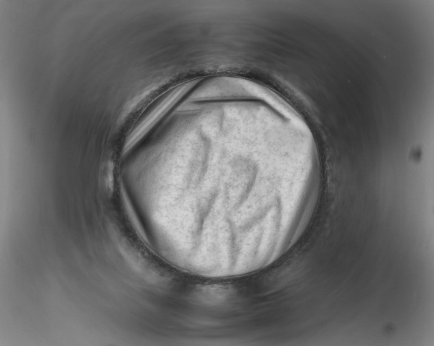 X0000116270067200912211807