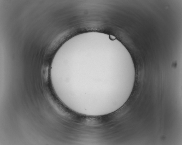 X0000116270070200912211807