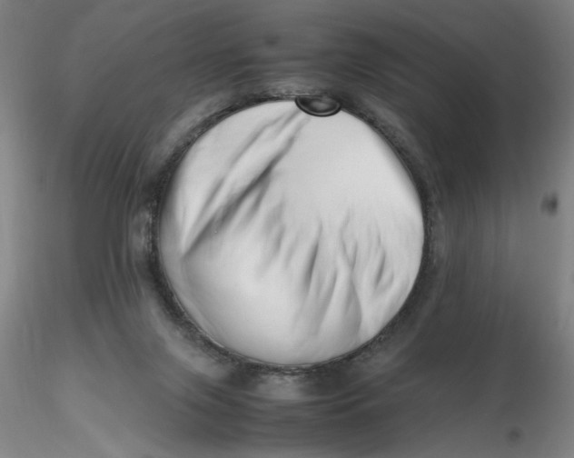 X0000116270071200912211807