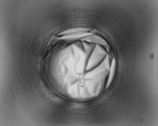 X0000116270073200912211807