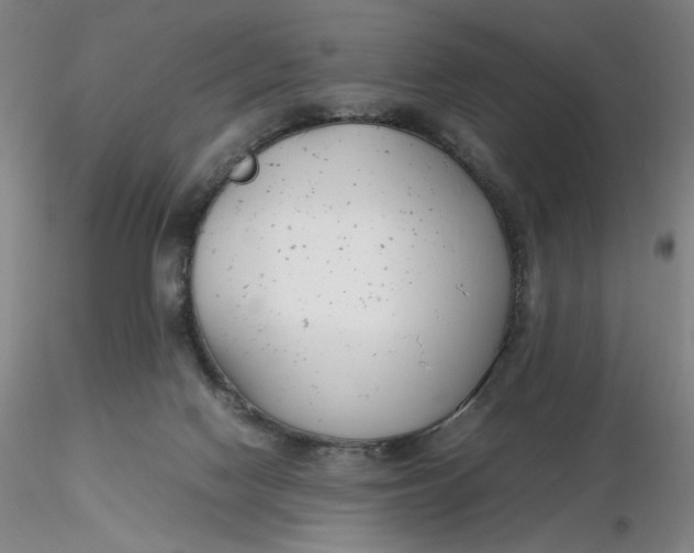 X0000116270074200912211807
